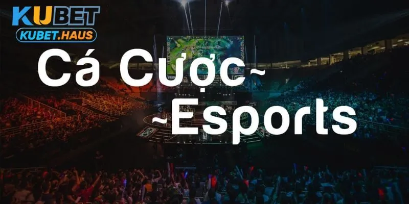 Bật mí mẹo hay để tham gia cá cược E-sport KUBET thắng lớn